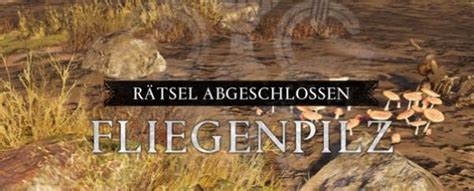 fliegenpilz rätsel|AC Valhalla Eastseaxe Rätsel: Fliegenpilz